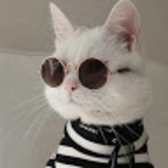 Meet your Posher, Jj - Picture 1 of 1